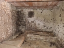 Vendita - Cantina - Nemi - cantina