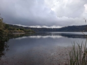 Terreno | Nemi | Roma | Lazio | VENDIAMO TERRENO AGRICOLO ACCESSO LAGO
