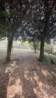 Vendita - Villa - Velletri - zone comuni