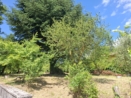 Vendita - Villa - Velletri - esterno