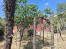 Vendita - Villa - Velletri - esterno
